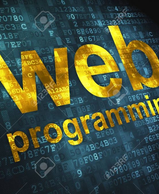 Web Development and Programming Bundle